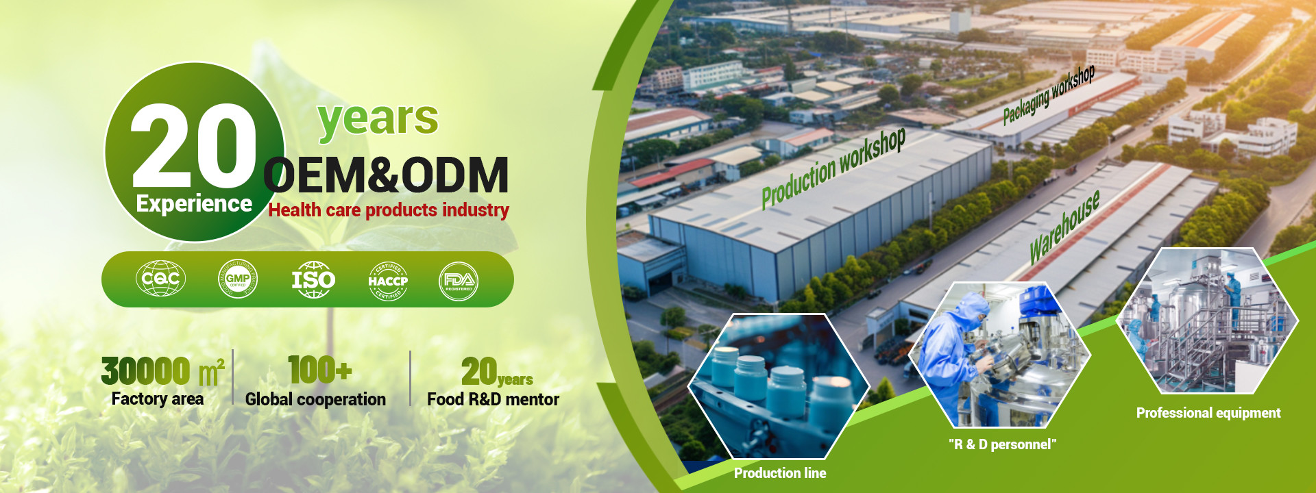 quality Natural Slimming Capsule factory