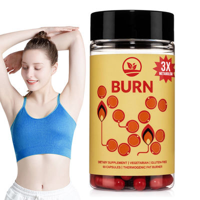 Buy Powerful OEM Green Tea Weight Loss Capsules Accelerate Fat Oxidation Control Cravings online manufacture