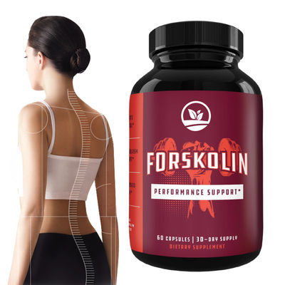 Good price Plant Based Weight Loss Capsules Natural Fat Burner Metabolism Boost Slimming Formula online