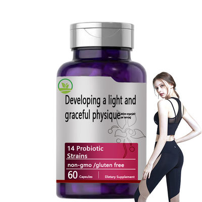 Good price Probiotic Vegan Capsules Gut Health Support Digestive Balance Immune Boost Plant Based online