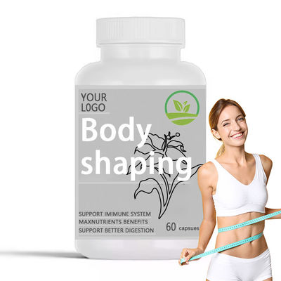 Good price Digestive Improvement Capsules for Enzymes Probiotics Bloating Relief Nutrient Absorption Support online